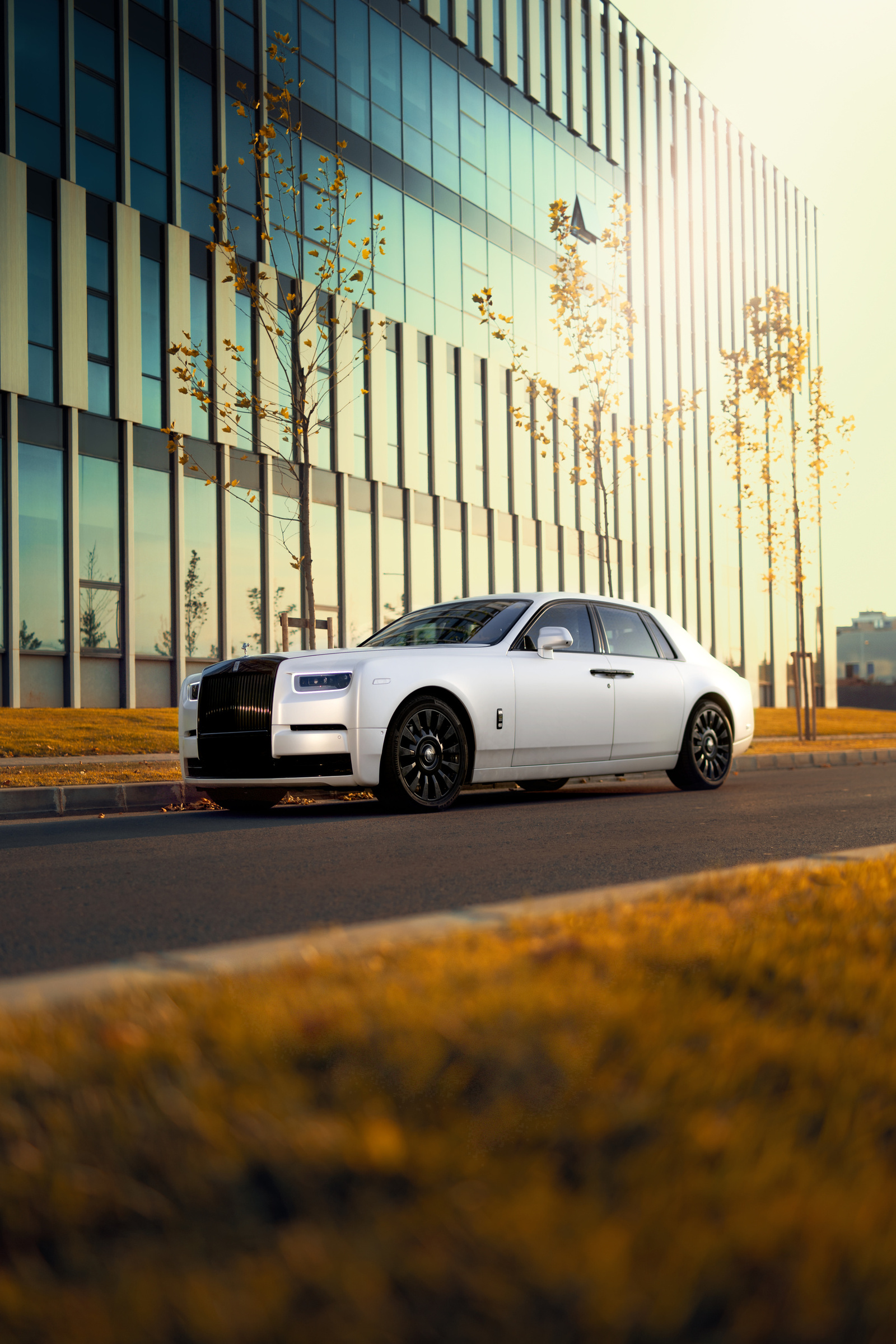 White Rolls-Royce Phantom with a black grille, parked by a modern glass building in warm autumn light