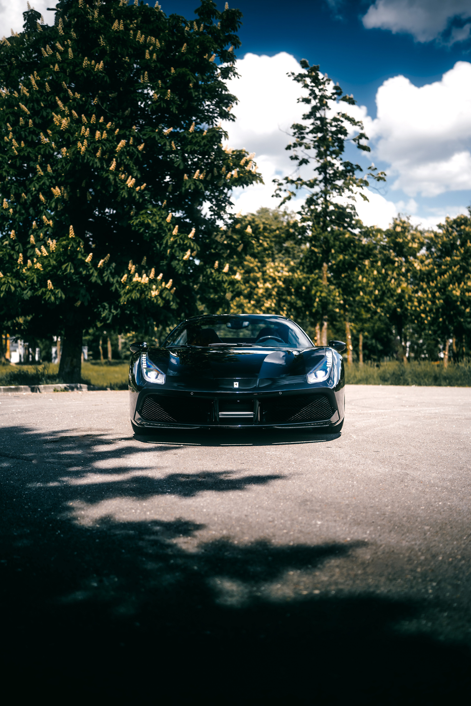 Ferrari 488 Spider negru cu farurile aprinse, văzut din față pe fundalul unor castani înfloriți